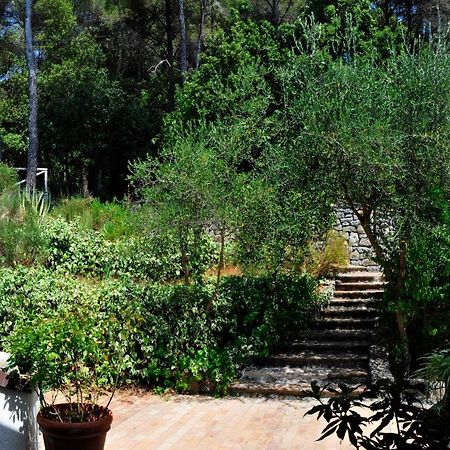 B&B Al Cavalluccio Marino Monte Marcello Exterior foto