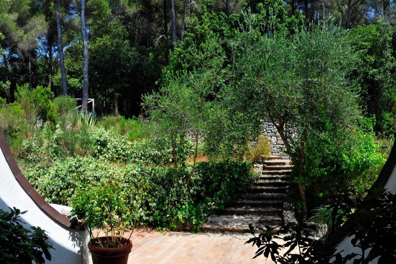 B&B Al Cavalluccio Marino Monte Marcello Exterior foto