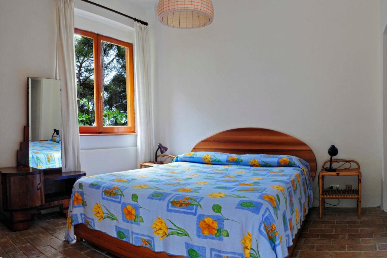 B&B Al Cavalluccio Marino Monte Marcello Exterior foto